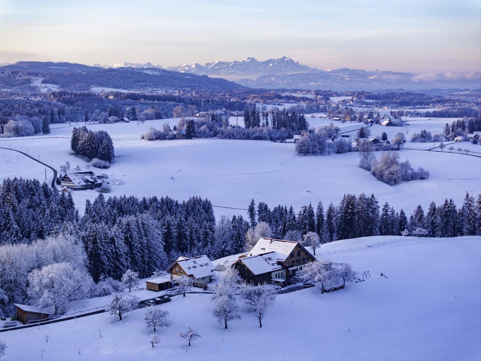 Heimatel - Ferienappartements Hochberg Argenbuhl Buitenkant foto